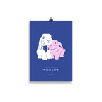 Rabbits