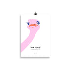 Nature Life - Ostrich