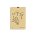 Lemons