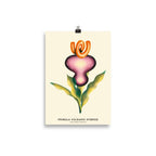 Flower - Purple
