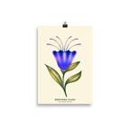 Flower - Marine