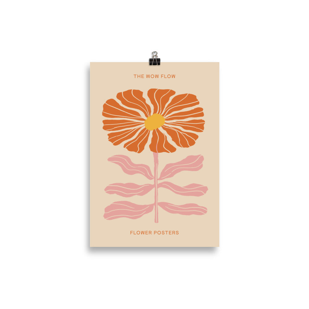 Orange Cosmos