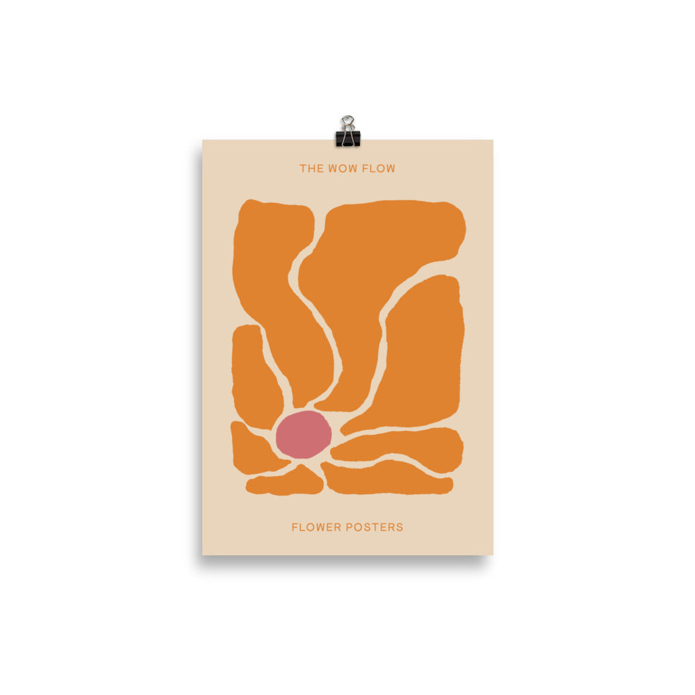 Orange Anemone