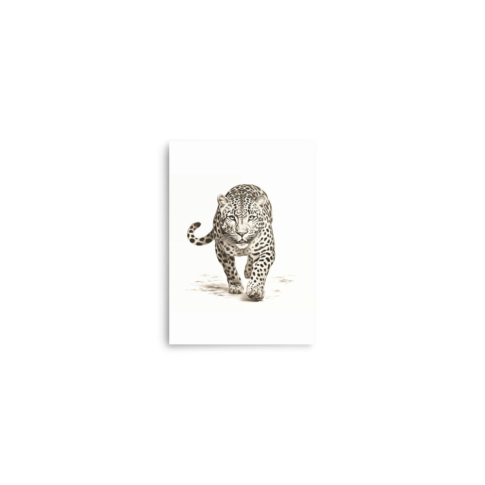 Jaguar 1