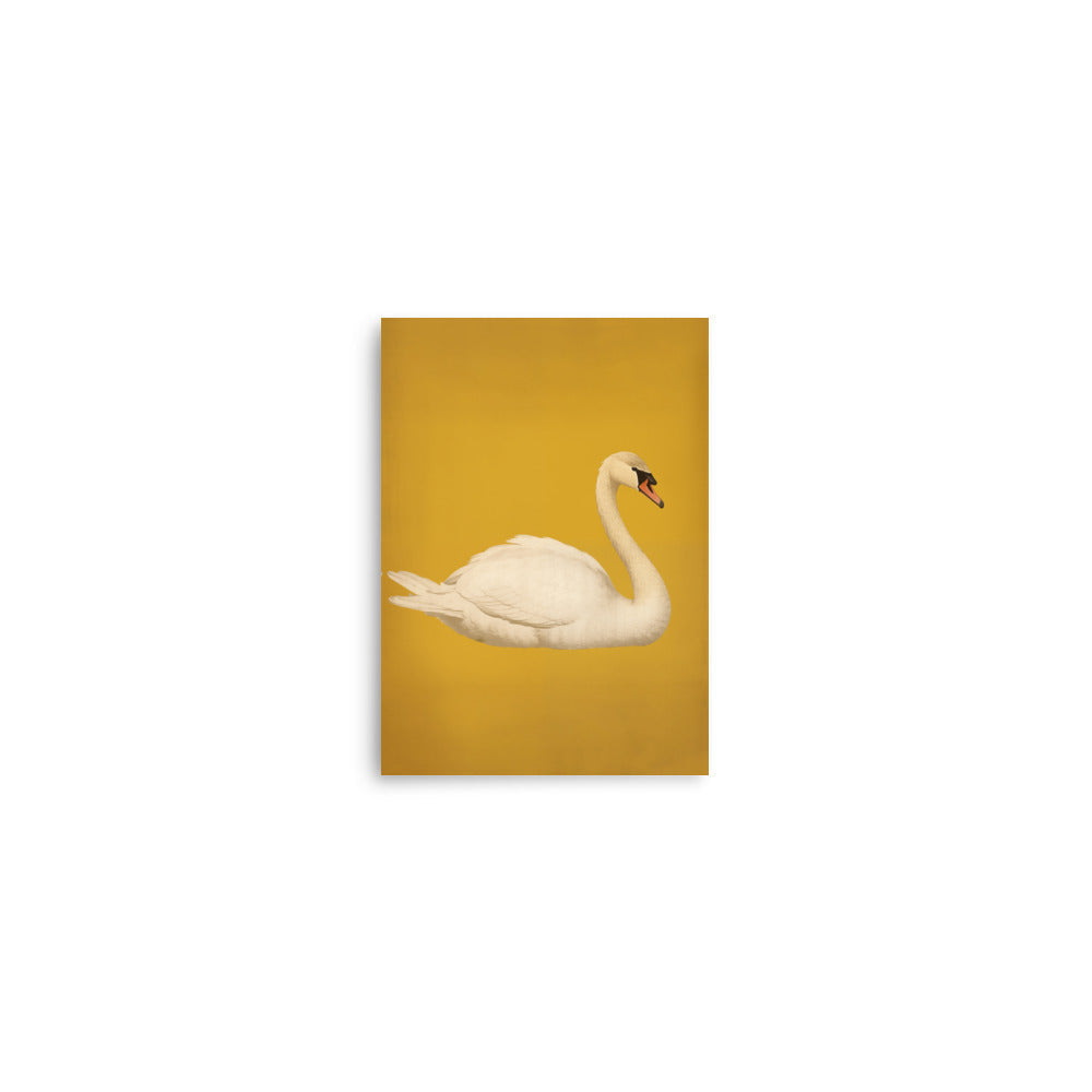 Swan