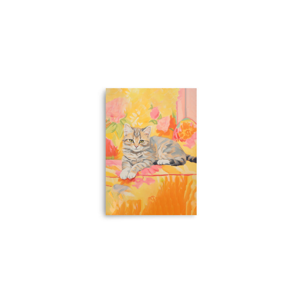 Cat on a sofa