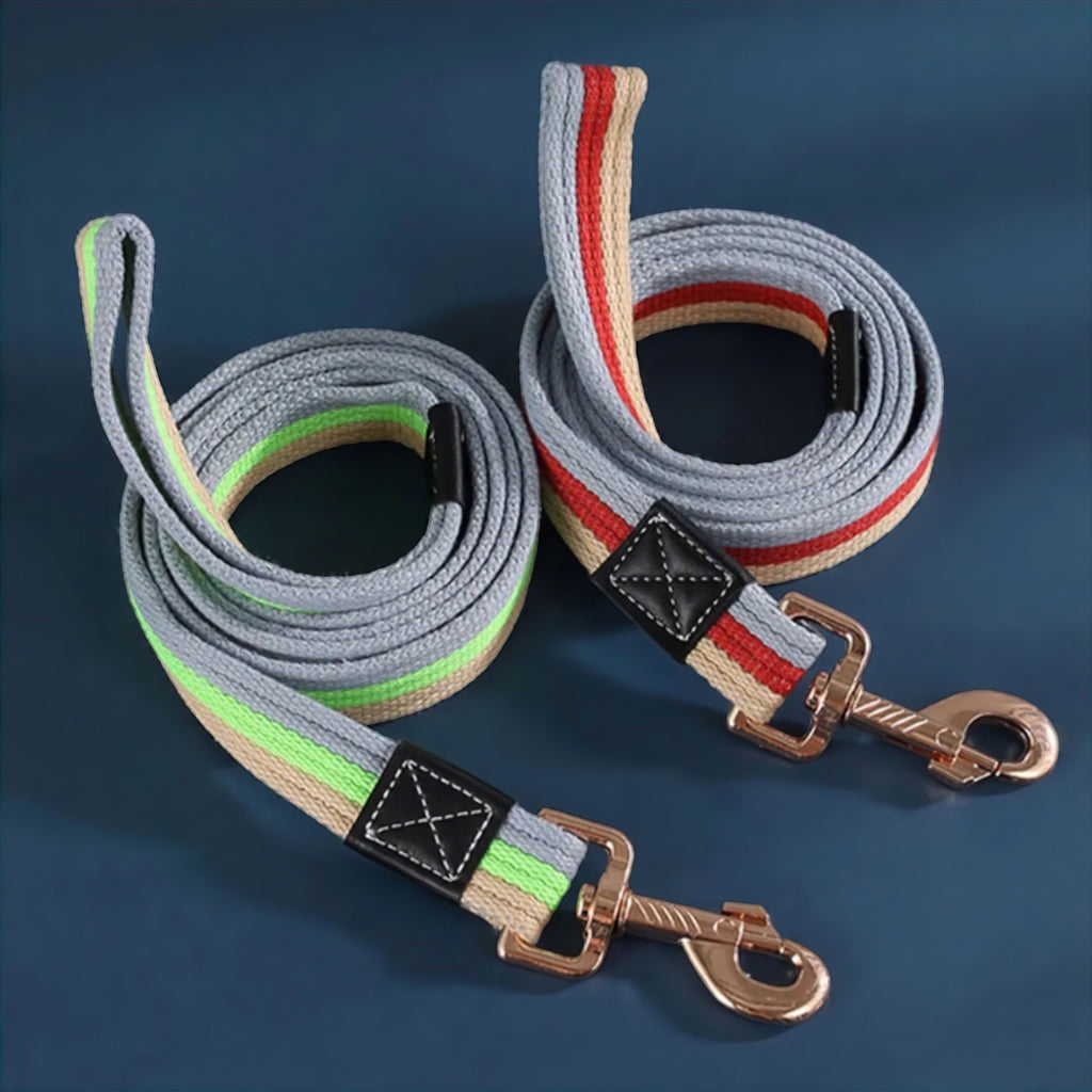 Paws Dog Leash
