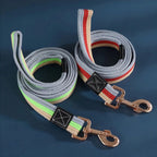 Paws Dog Leash