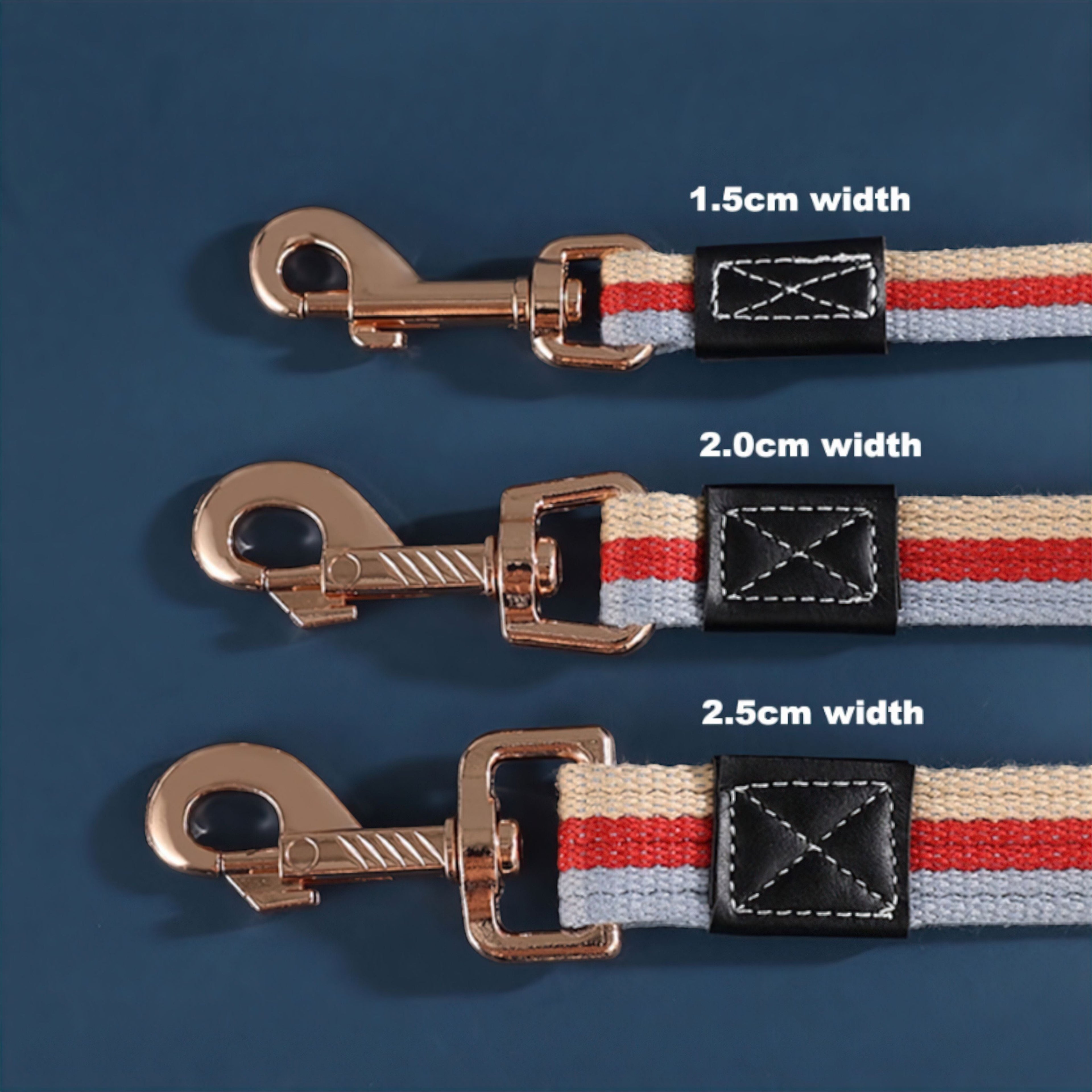 Paws Dog Leash