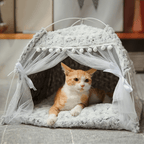 Cat Tent