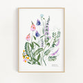 Mountain Flowers