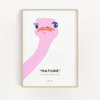 Nature Life - Ostrich