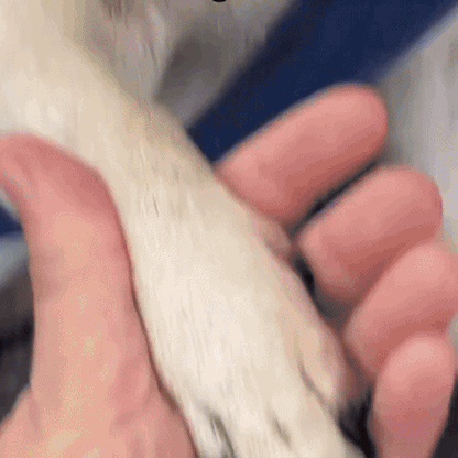 Clippix | Safe Nail Clipping Without Risk or Stress