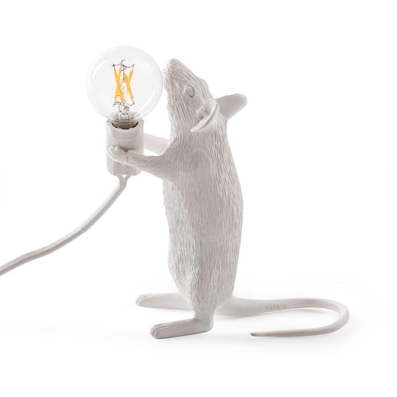 Stylish lamp for home