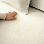 SeatGuard - Maximum Protection for your Sofa