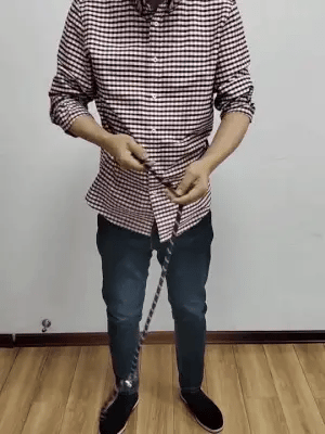 Hands-free dog leash for jogging & walking