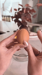 Egg Yolk Separator