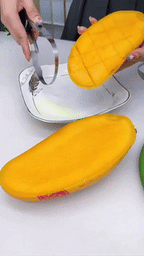 Stainless Steel Fruits and Vegetables Slicer