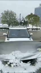 Car Windshield Snow and Sun Cover