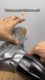 Multifunctional Shoe Sterilizer