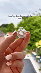 Mini Magnetic Vase Decor