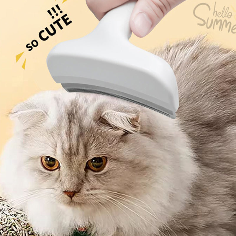 TidyFurr – Simple fur care for a clean, happy home