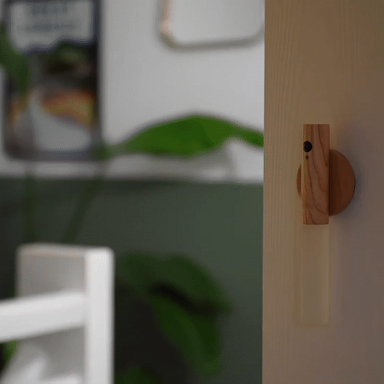 LED Night Light with Motion Sensor - Instant Lighting for Home