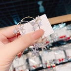 Shiny Zircon Earrings