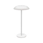 Iron Elegance Lamp