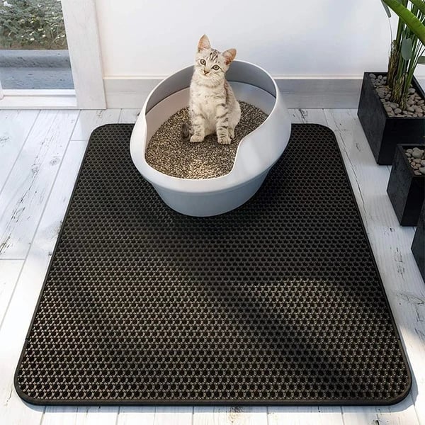 StreuChampion — Finally a cozy clean home without cat litter chaos!