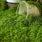 Artificial Moss for Landscaping – Moss and Flowers for Decoration and Floristry