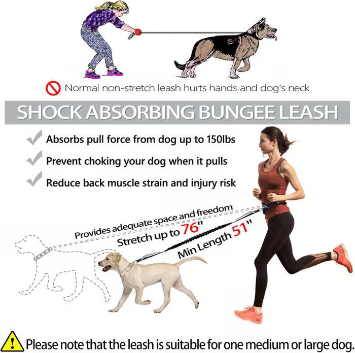 PawsFree Pro – Enjoy stress-free walks with your dog