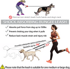 PawsFree Pro – Enjoy stress-free walks with your dog