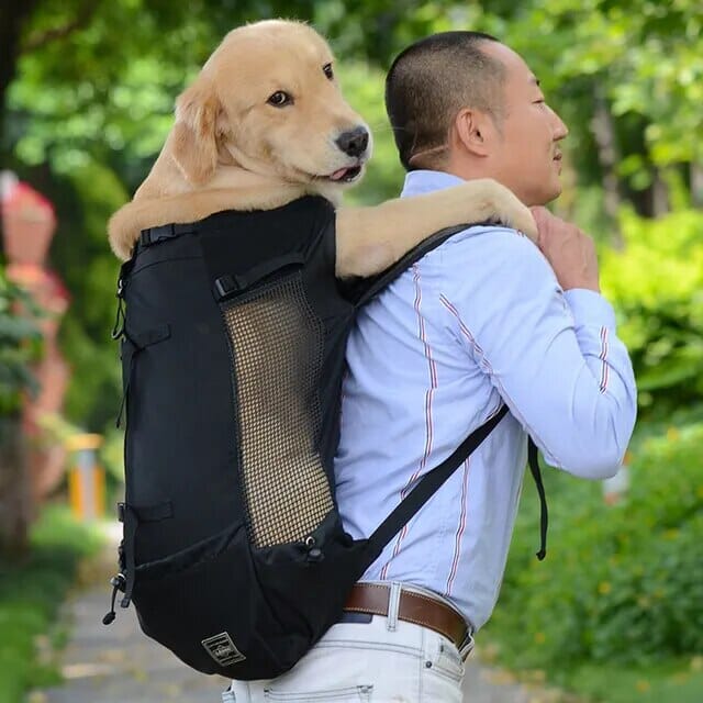 Dog Travel Backpack