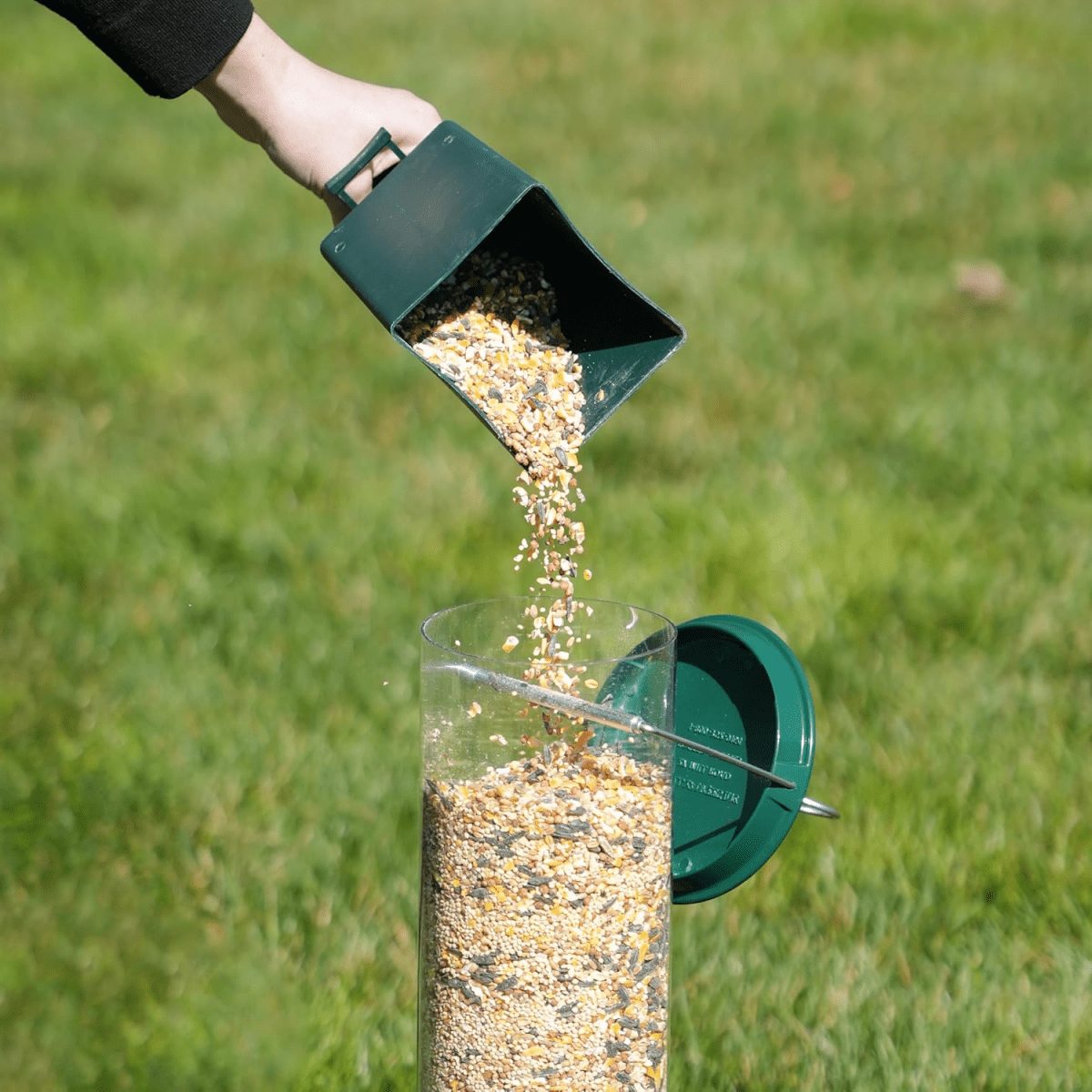 FEEDERGUARD – Squirrel-Proof Birdhouse for the Garden
