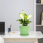 Flower pot with groove structure and saucer – Sturdy plastic pot for plants