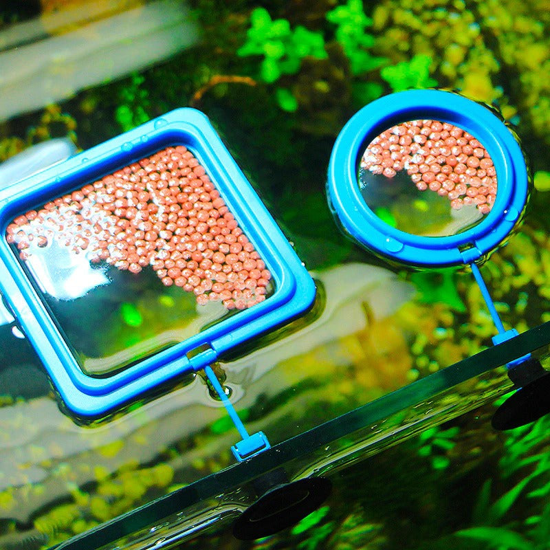 Aquarium feeding ring