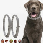 Flea & Tick Protection Collar for Dogs & Cats