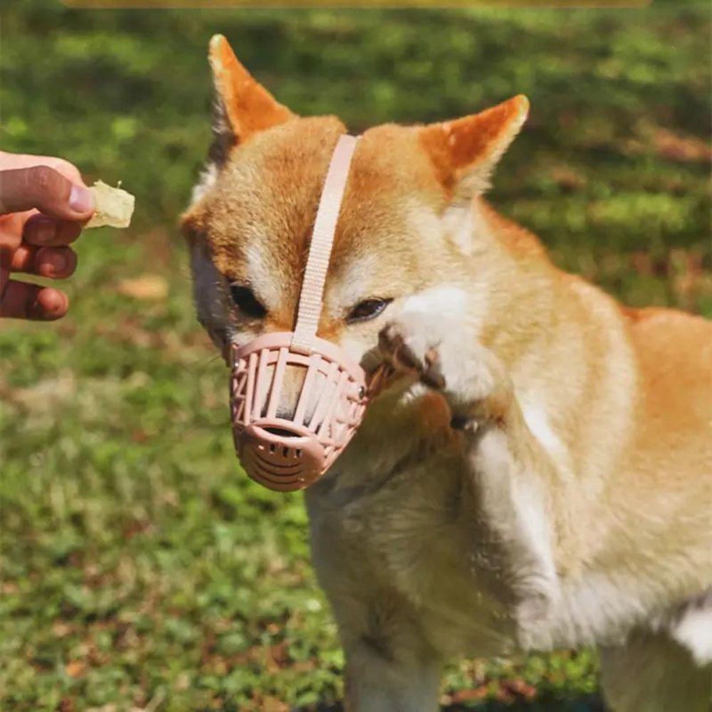 FlexGuard - Basket Dog Muzzle