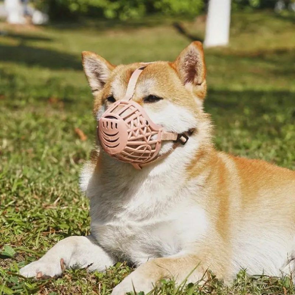 FlexGuard - Basket Dog Muzzle