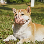 FlexGuard - Basket Dog Muzzle
