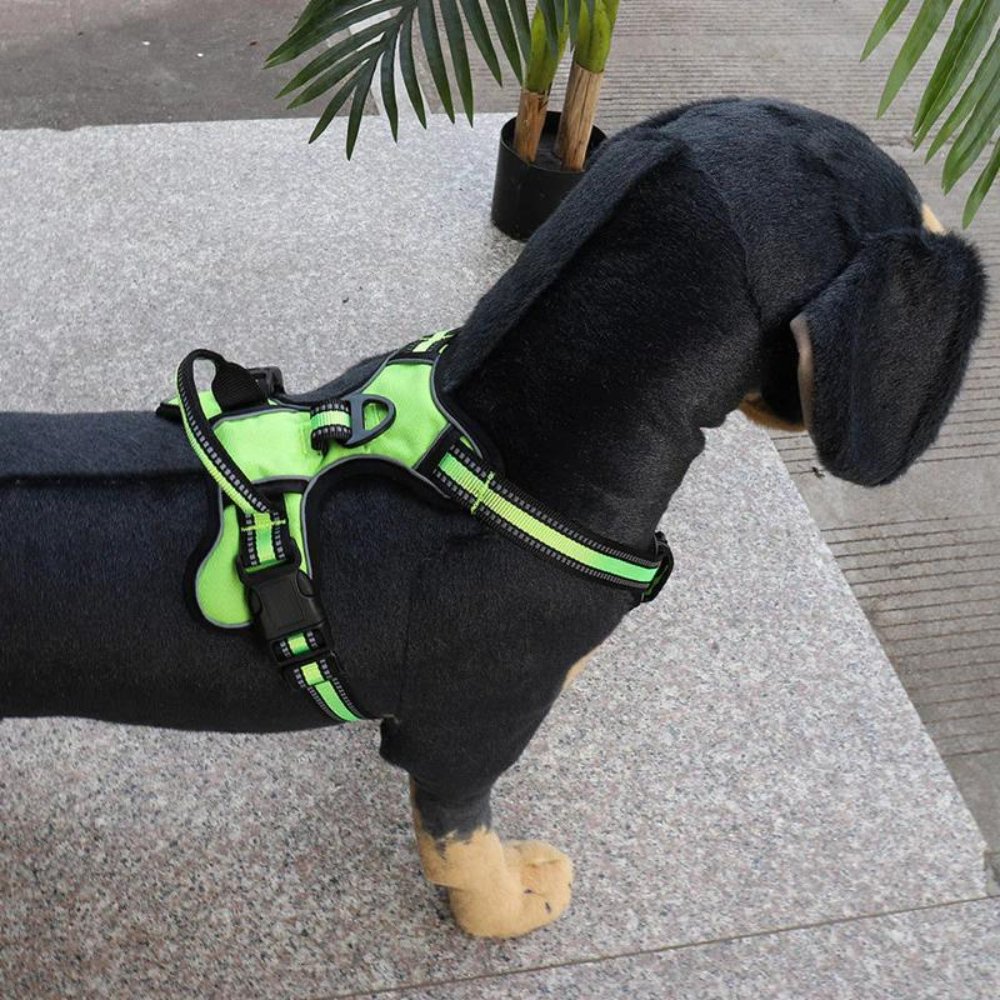 FlexHarness - No Pull Dog Harness