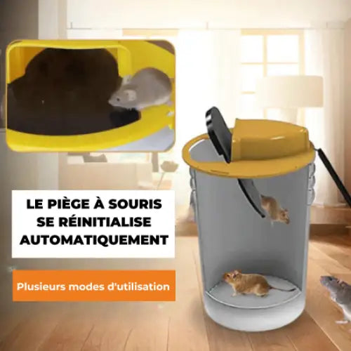 Flip & Slide - Mouse and Rat Trap