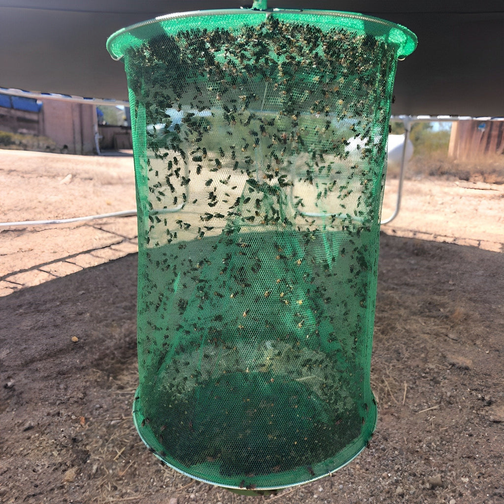 Stable fly trap