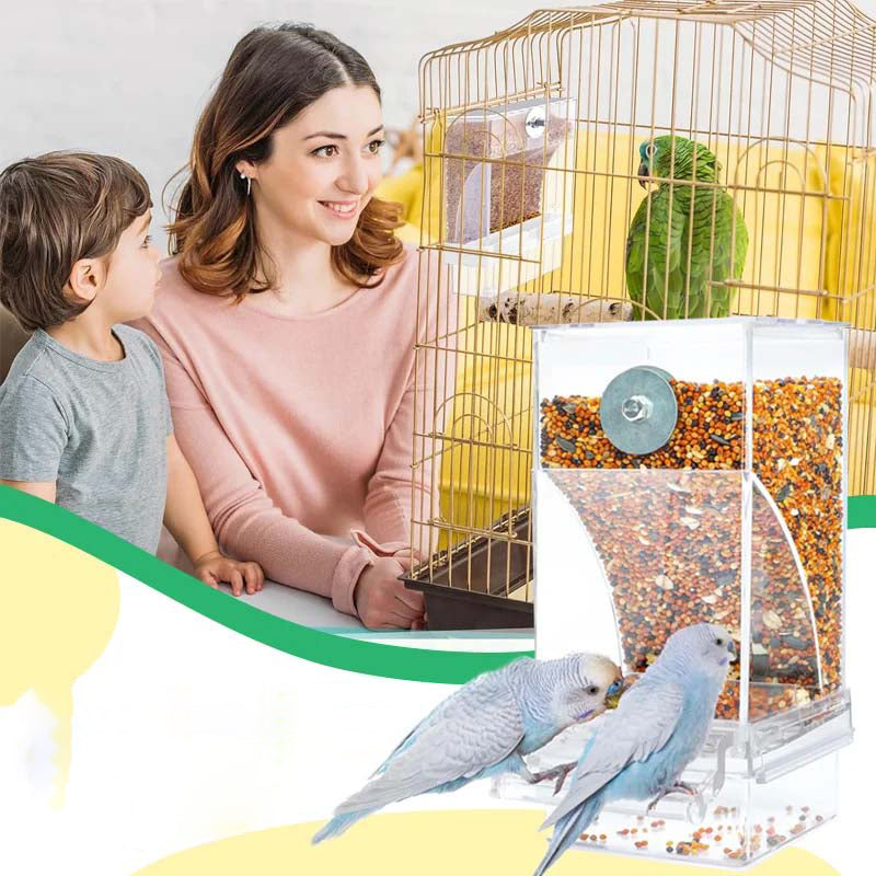Automatic transparent bird feeder without spills