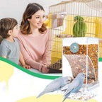 Automatic transparent bird feeder without spills