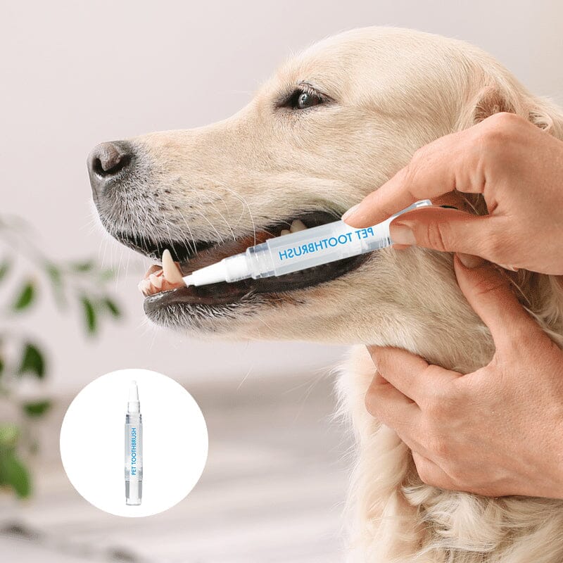 New Improved Pet Toothbrush Pen