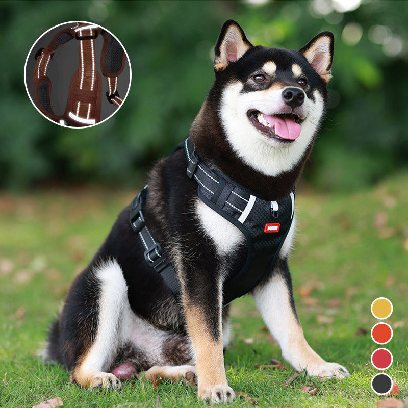 Reflective Dog Harness