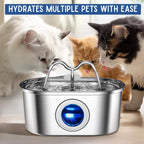 Cat Water Fountain made of Stainless Steel – Quiet, Hygienic and BPA-free – 2L Capacity