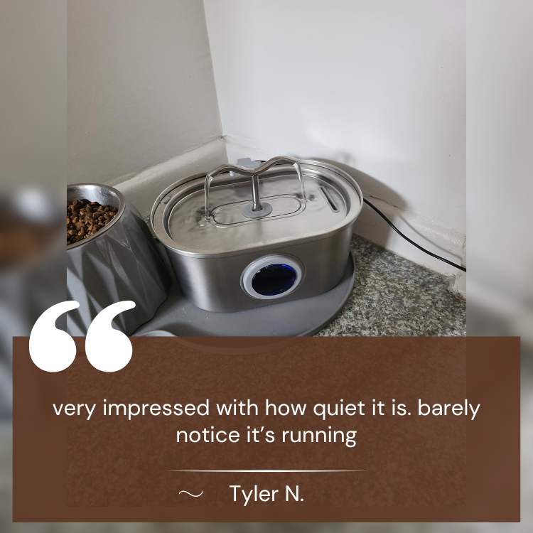 Cat Water Fountain made of Stainless Steel – Quiet, Hygienic and BPA-free – 2L Capacity